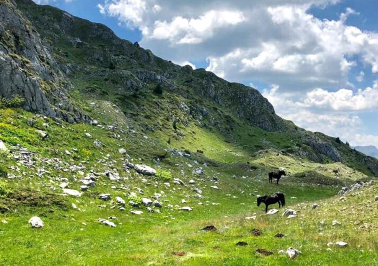 Apartament Katun Kuline Kolašin Zewnętrze zdjęcie