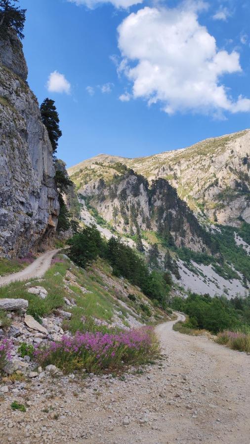 Apartament Katun Kuline Kolašin Zewnętrze zdjęcie